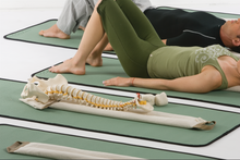 Load image into Gallery viewer, Smart Spine 2.5 Day Workshop for Professionals California (No Kit)
